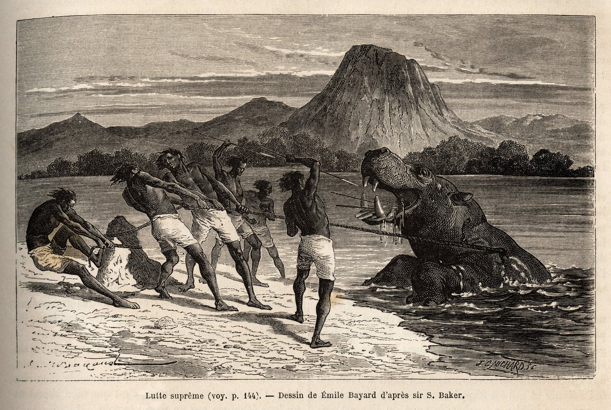 Hippo hunting with the Houarti tribe, engraving illustrating the exploration of the Abyssinian tributaries of the Nile by Sir Samuel W. Baker, published in 