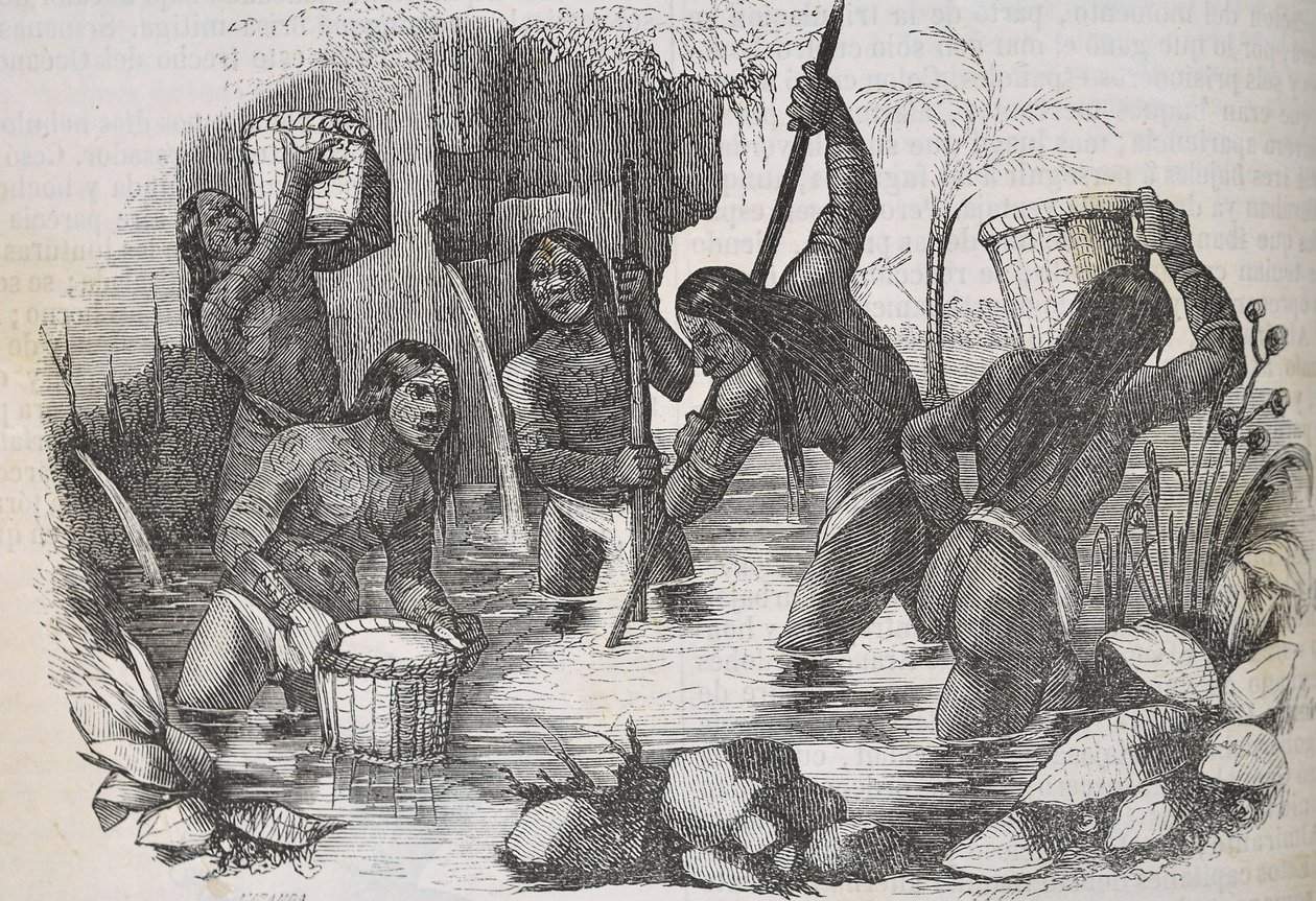 Indians from Island of Hispaniola panning for gold by Unknown artist