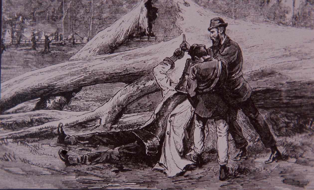 Ned Kelly Captured by Police Constable Kelly and Railwayman Jesse Dowsett, 28 June 1880 by Unknown artist