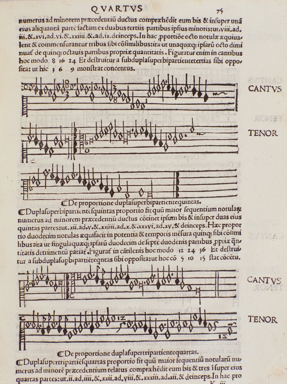 Page from Practica Musicae by Unknown artist