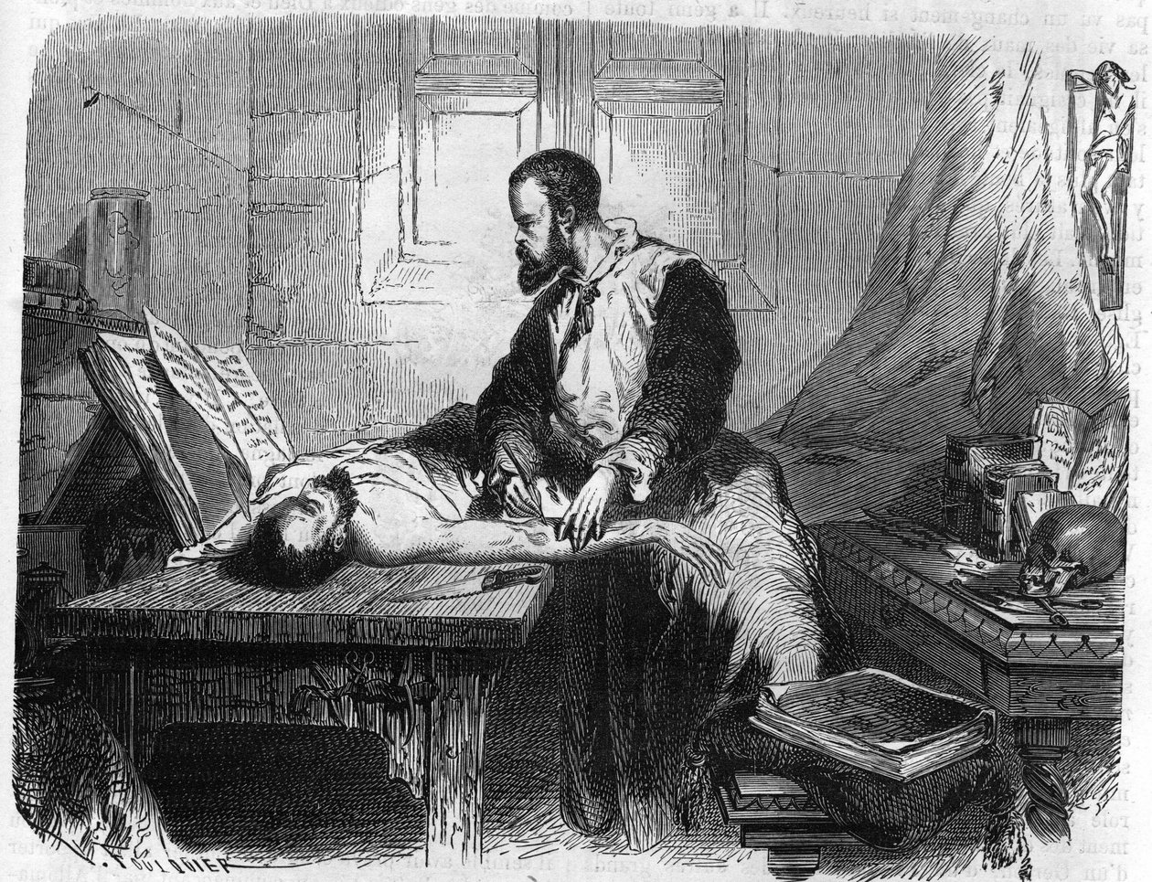 Portrait of André Vésale (1514-1564), Dutch anatomist (In Latin: Andrea Vesalius, Dutch: Andries Van Wesel). Engraving from 1866. by Unknown artist