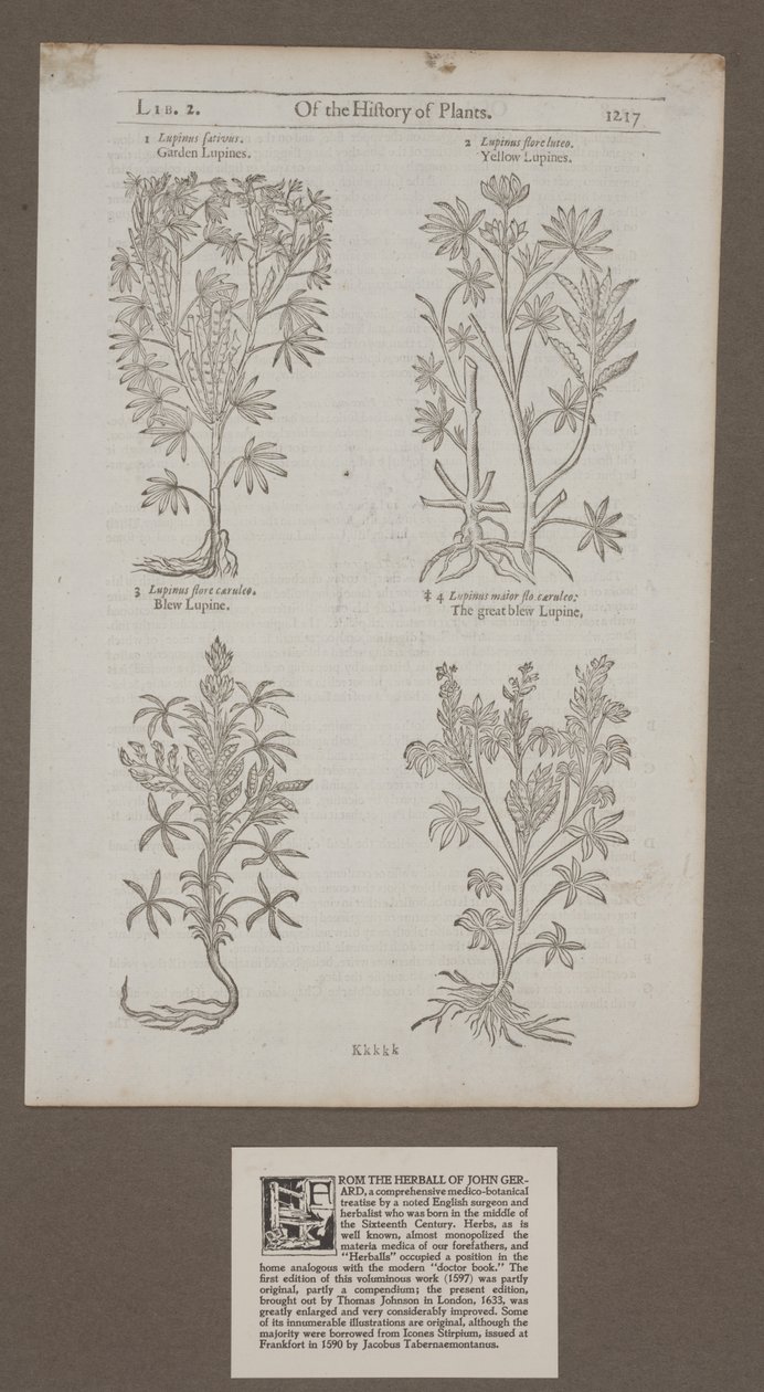 Printed page 1217 from 