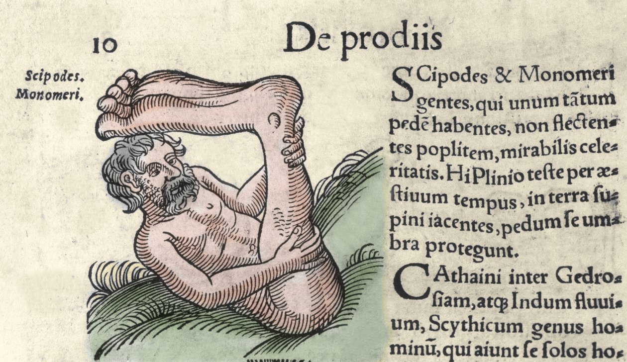 Representation of a Sciapod monster Engraving from 