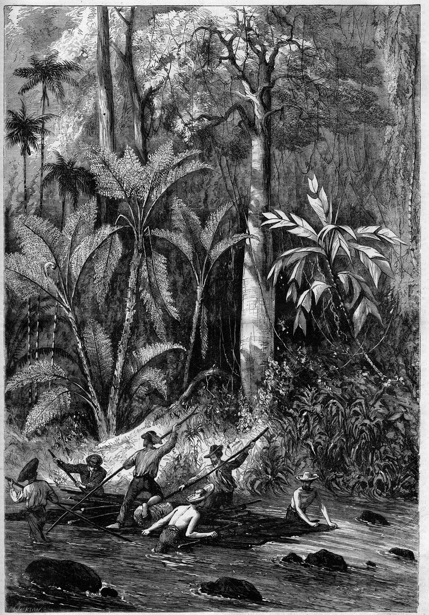 Road development in Central America: Piercing through the Isthmus of Panama. Raft descending the course of the Rama. From a drawing of a Captain Bedford Pim