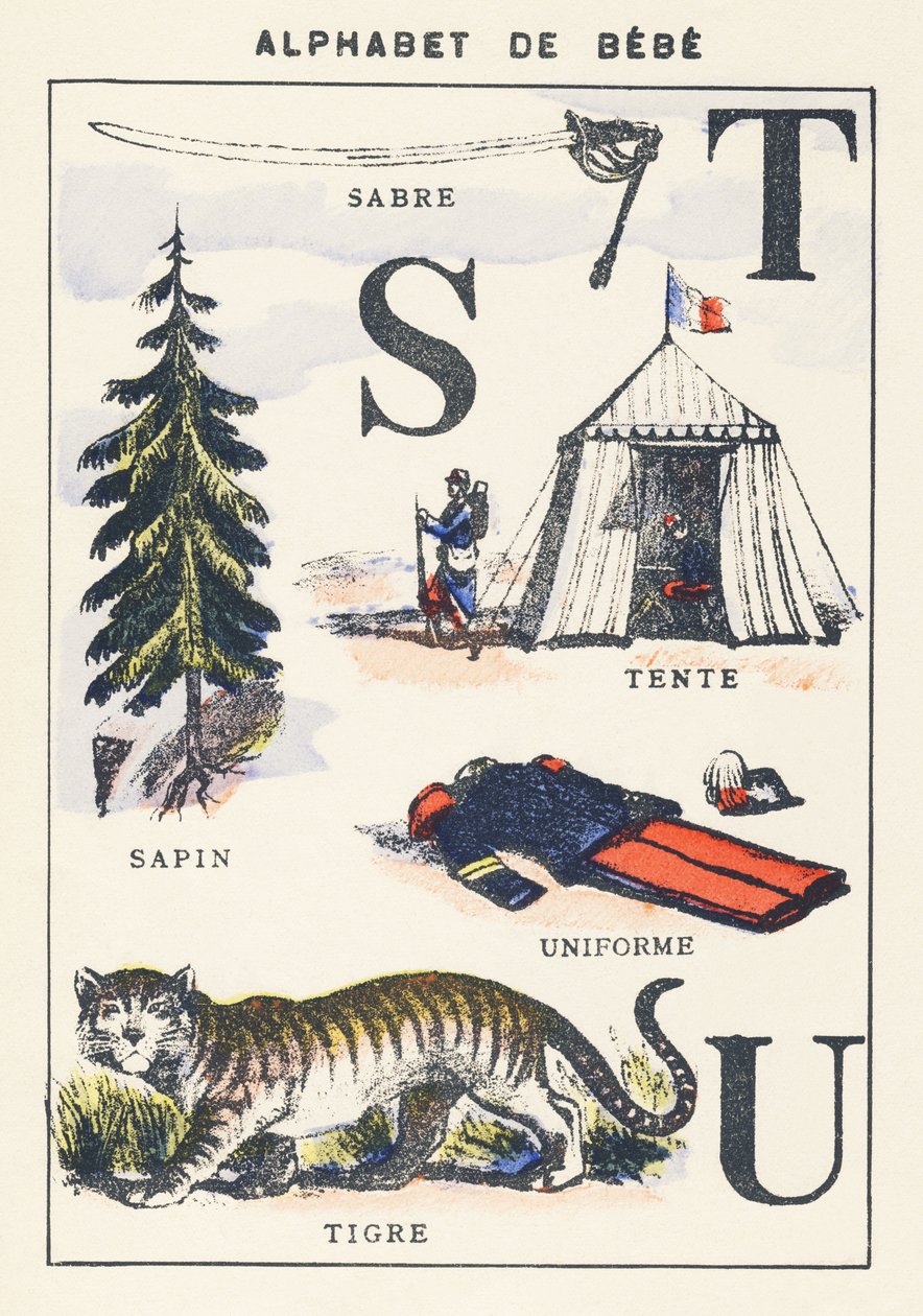 S T U: saber, fir, tent, tiger, uniform by Unknown artist