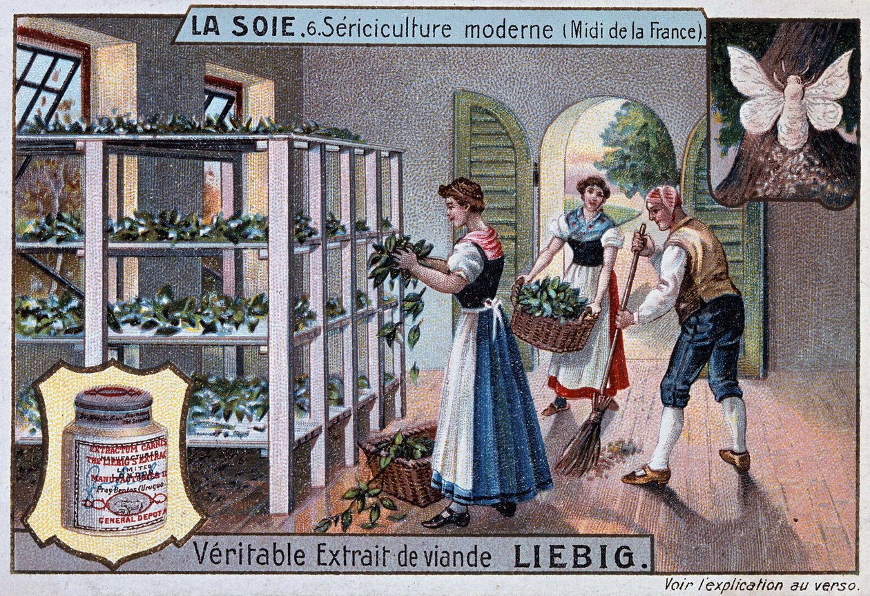 Silk: Silk Workshop in the South of France, Liebig Publicity, c. 1895 by Unknown artist
