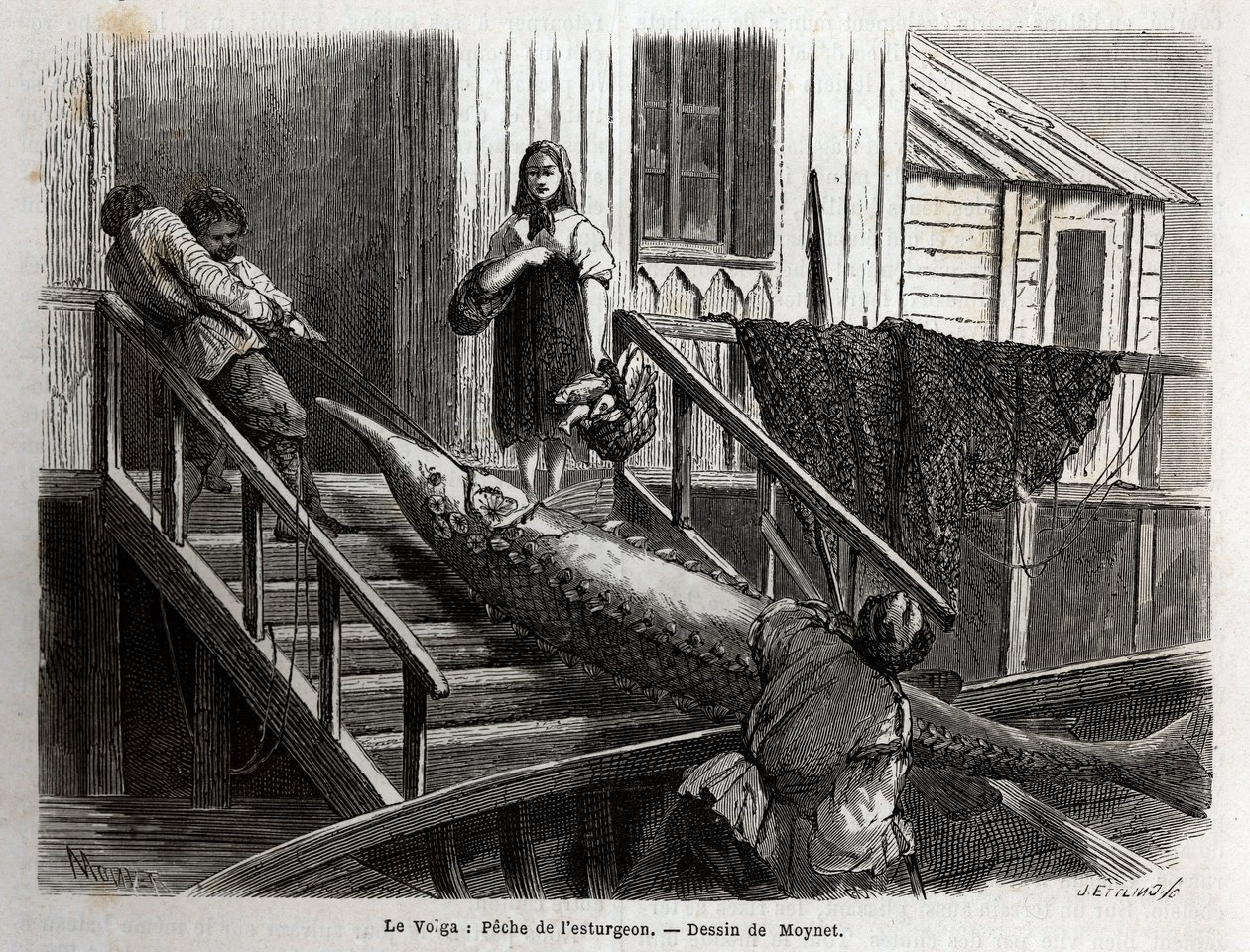 Sturgeon fishing at the mouth of the Volga River. Engraving to illustrate the voyage on the Volga by M. Moynet, in 1864, in 