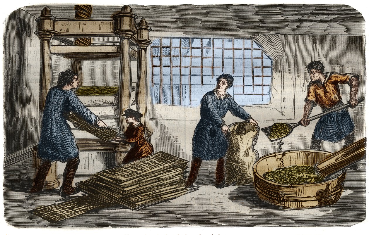 Sugar manufacturing: extraction of juice from beet pulp. The pulp is stuffed in bags that are stacked under the tray of a hydraulic press. Engraving from 1859 in 