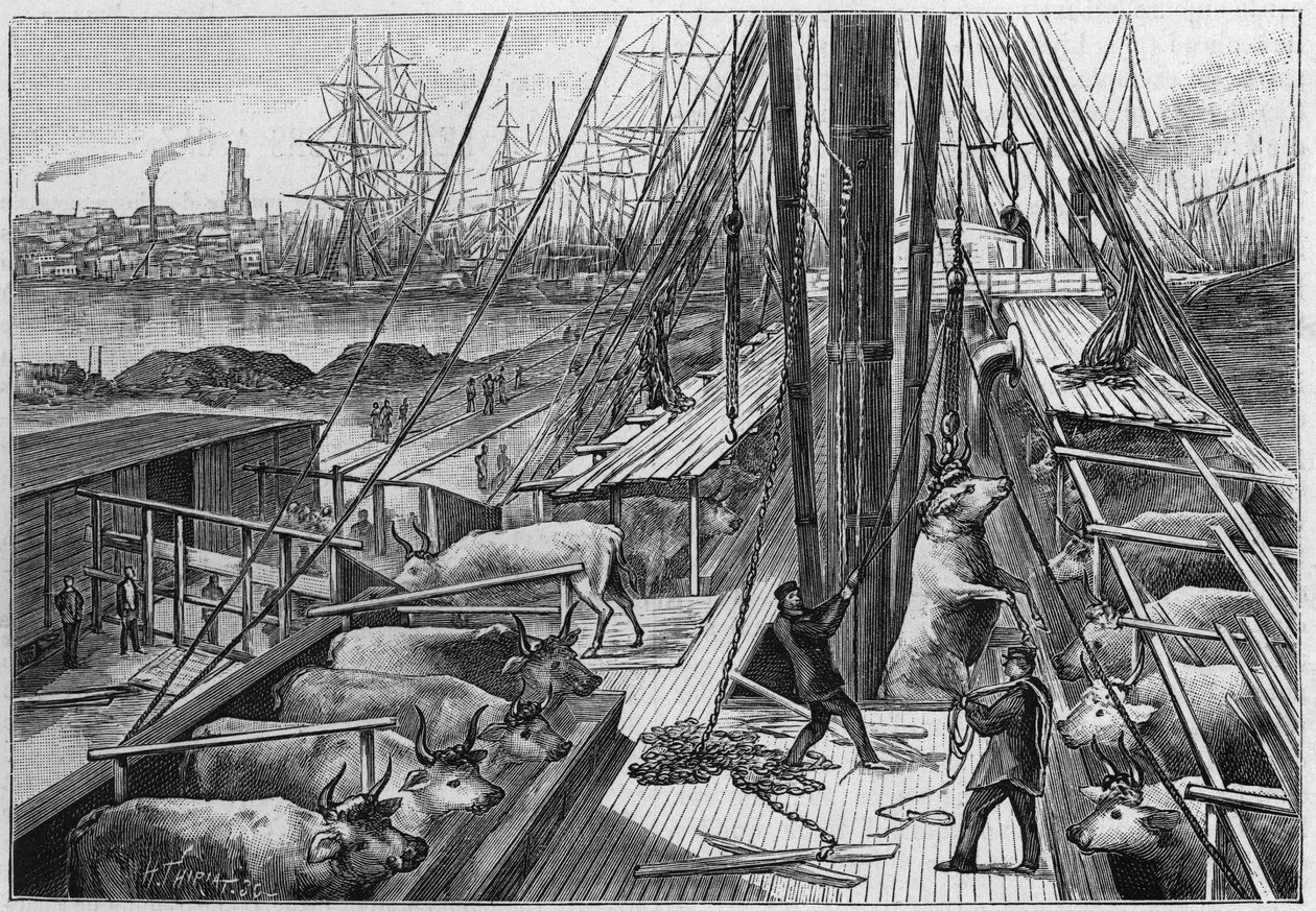 The English steamer 