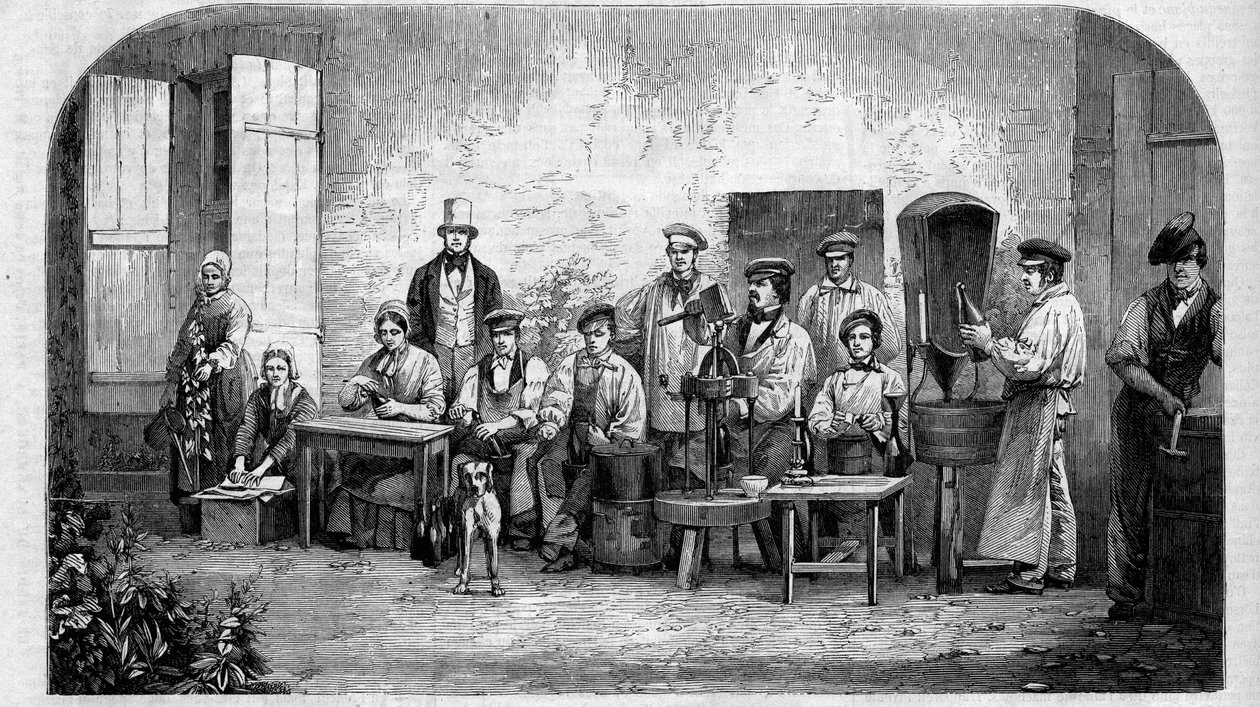 The bottling of Champagne wine. Engraving from 1864 by Unknown artist