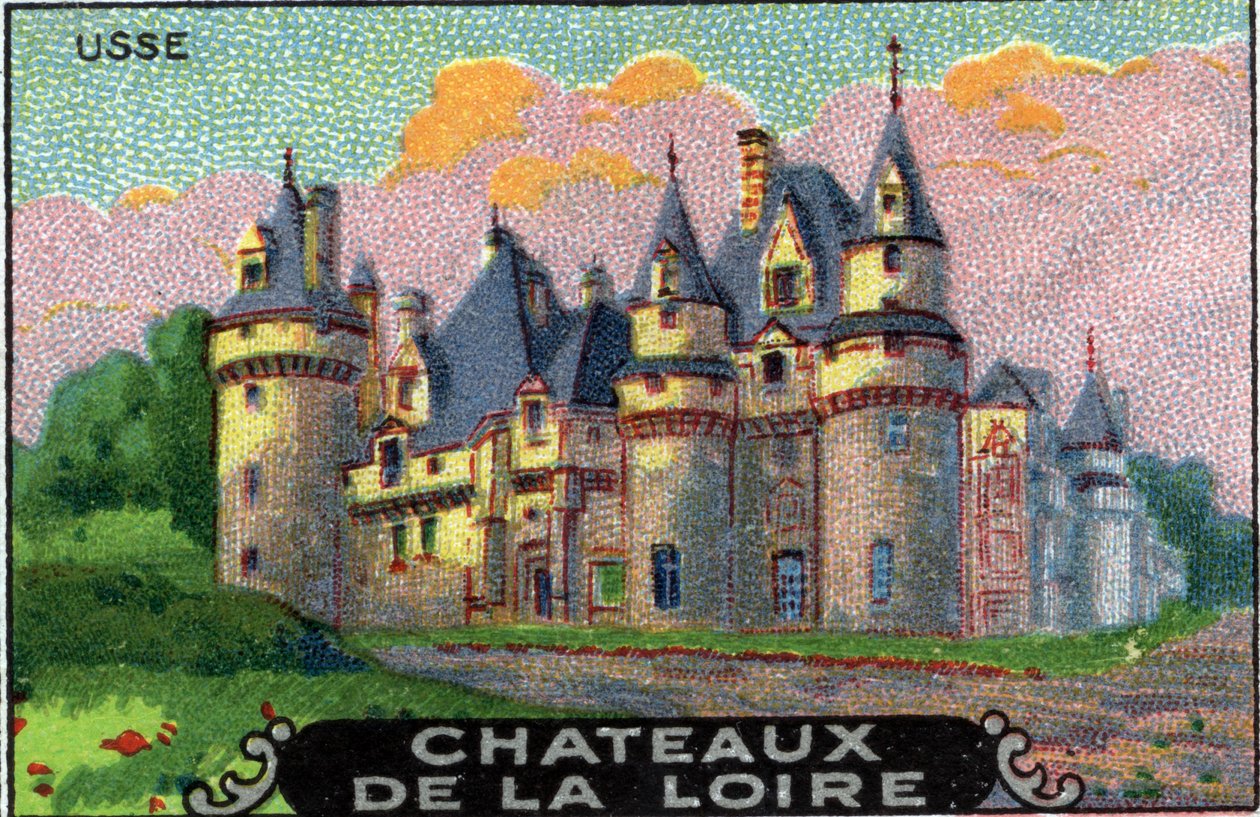 The Chateaux of the Loire: The Chateau d