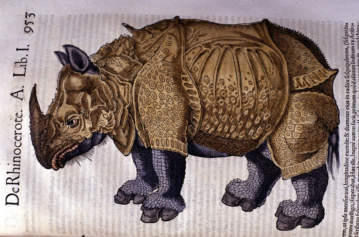 The rhinoceros after Historia Animalium by Conrad Gesner 1560 by Unknown artist