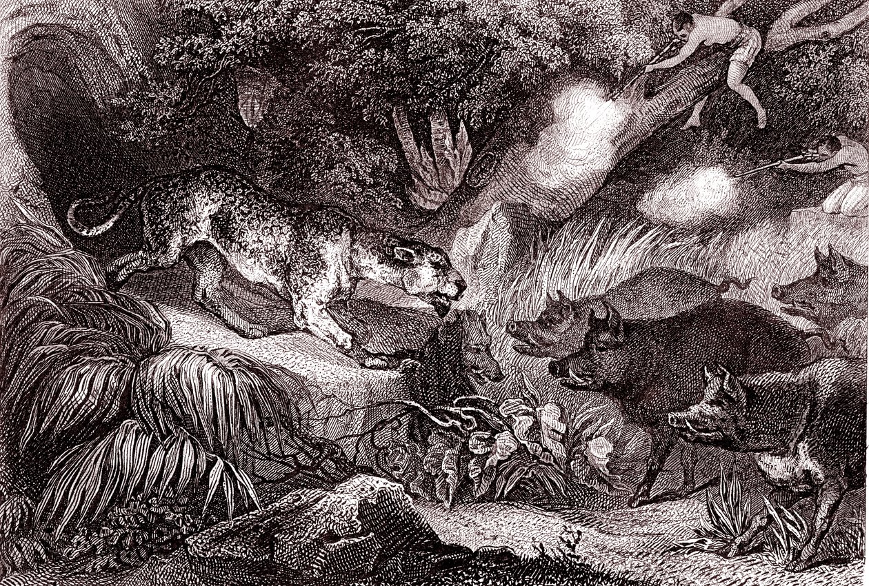 Tiger Hunting in the Amazonian Forest (Engraving) by Unknown Artist