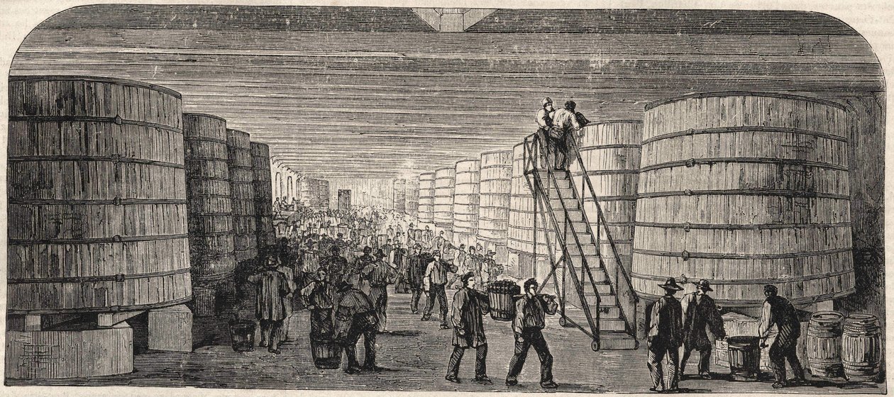 View of the Cellar at the Chateau - Lafitte in 1860 by Unknown artist