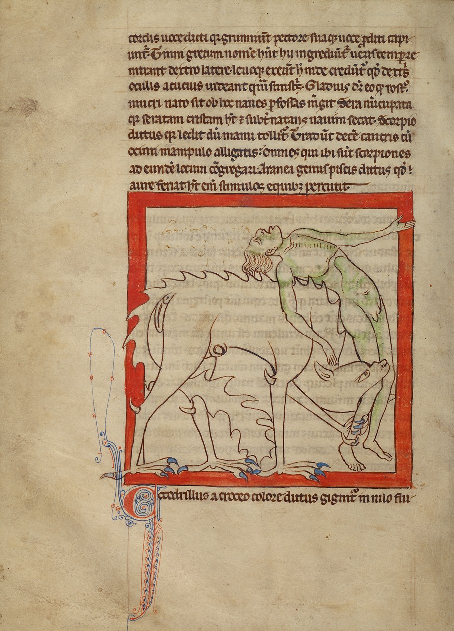 A Crocodile by Unknown artist