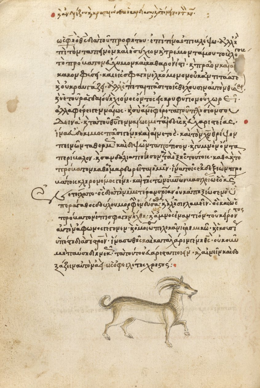 A Goat by Unknown artist