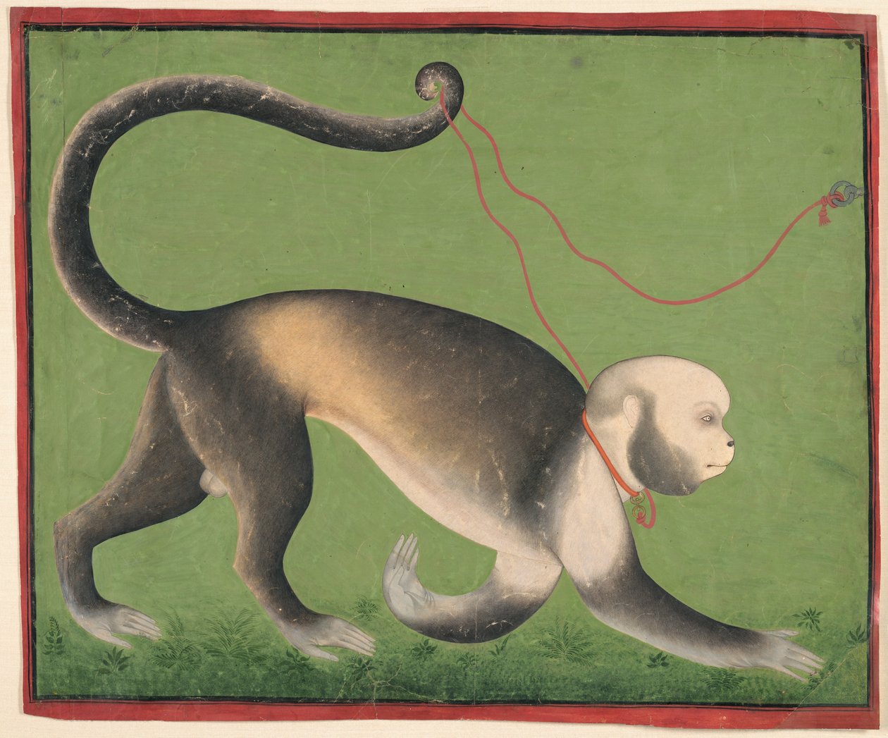 A Monumental Portrait of a Monkey by Unknown artist