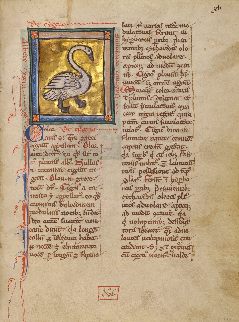 A Swan by Unknown artist