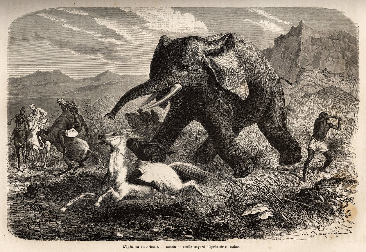 An elephant ends the troop that chased him and charges the hunters on ...