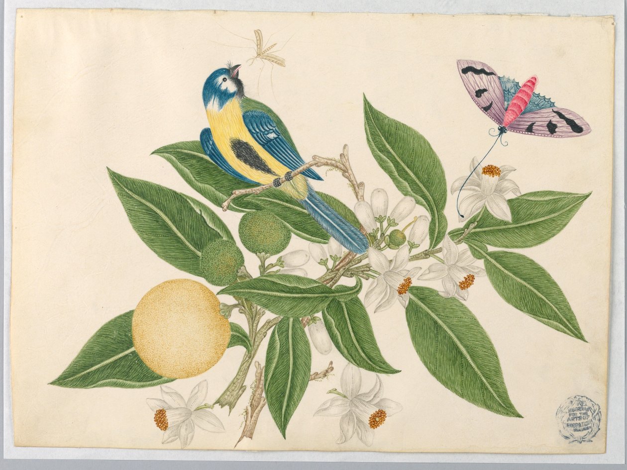 Bird on an Orange Branch, with Butterfly by Unknown artist