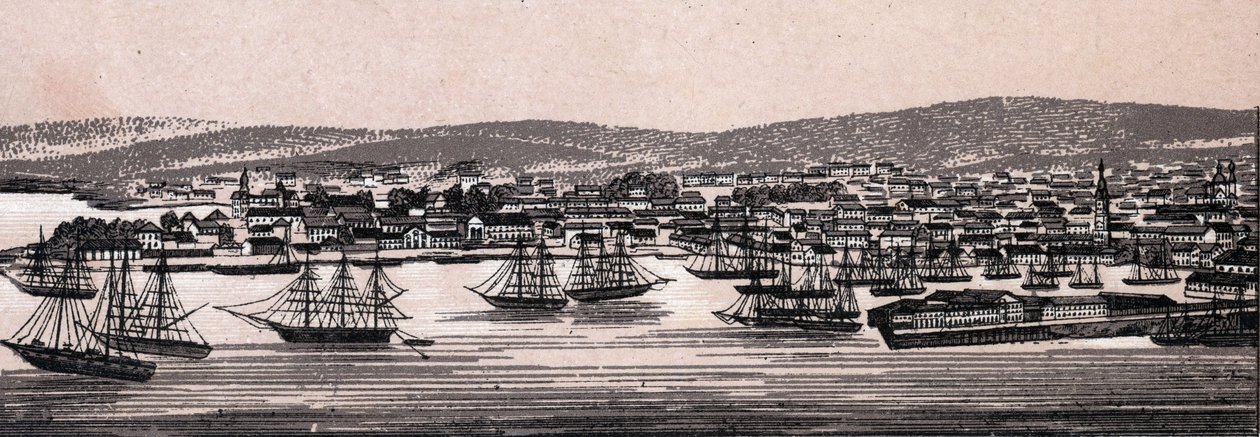 Christiania, Denmark: view of the city. The world illustrates 168 views. Undated (end of 19th century) by Unknown artist