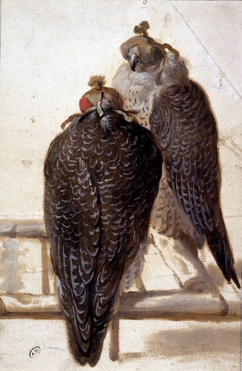 Couple of hawks by Unknown artist