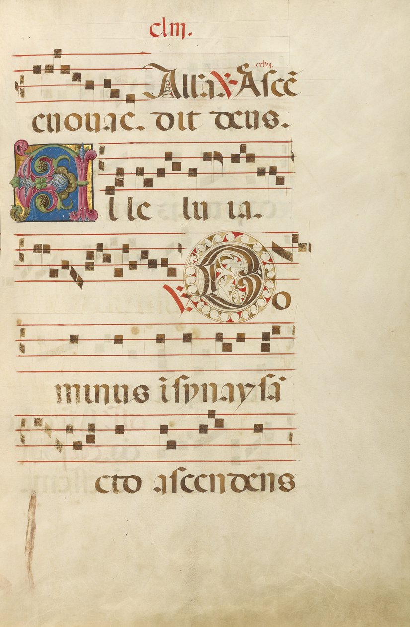 Decorated Initial A; Decorated Initial D by Unknown artist