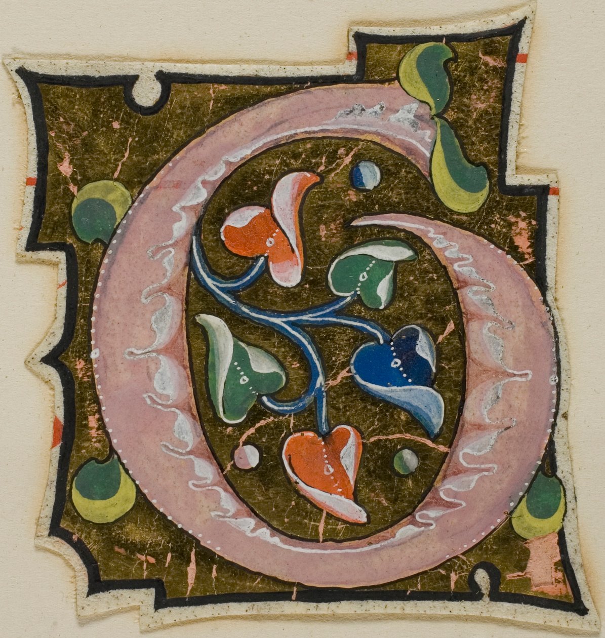 Decorated Initial "G" in Pink with Curling Leaves from a Manuscript by Unknown artist