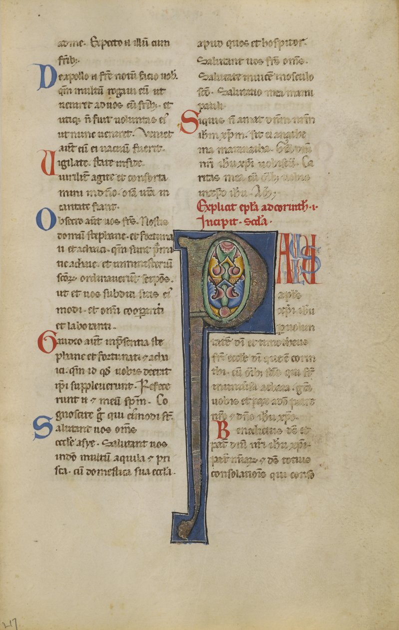 Decorated Initial P by Unknown artist