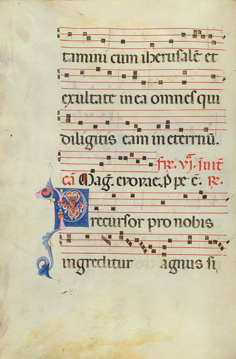 Decorated Initial P by Unknown artist