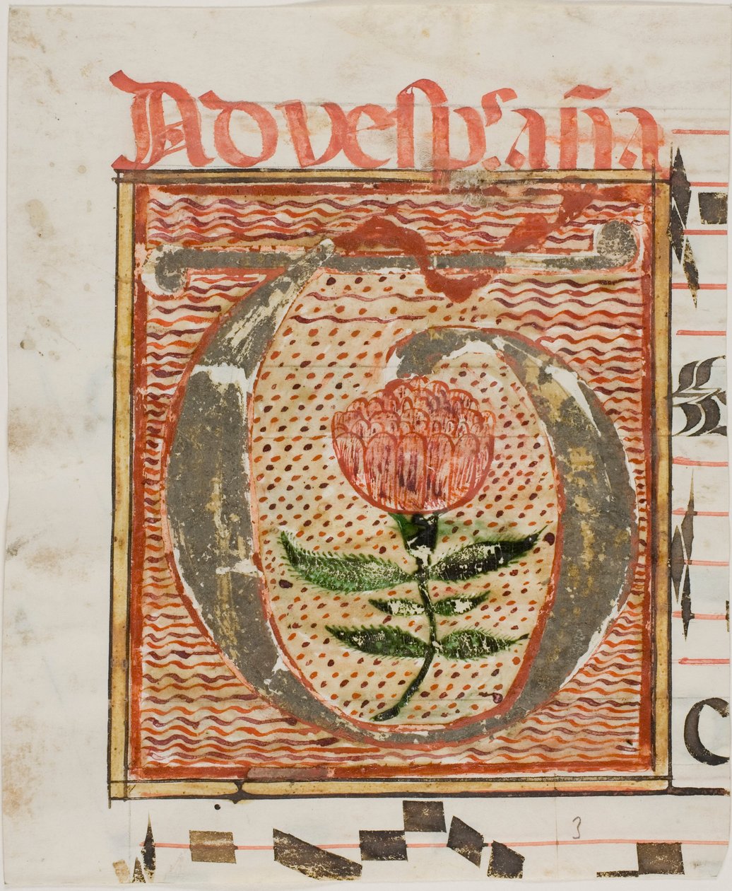 Decorated Initial "T" with Flower from a Manuscript by Unknown artist