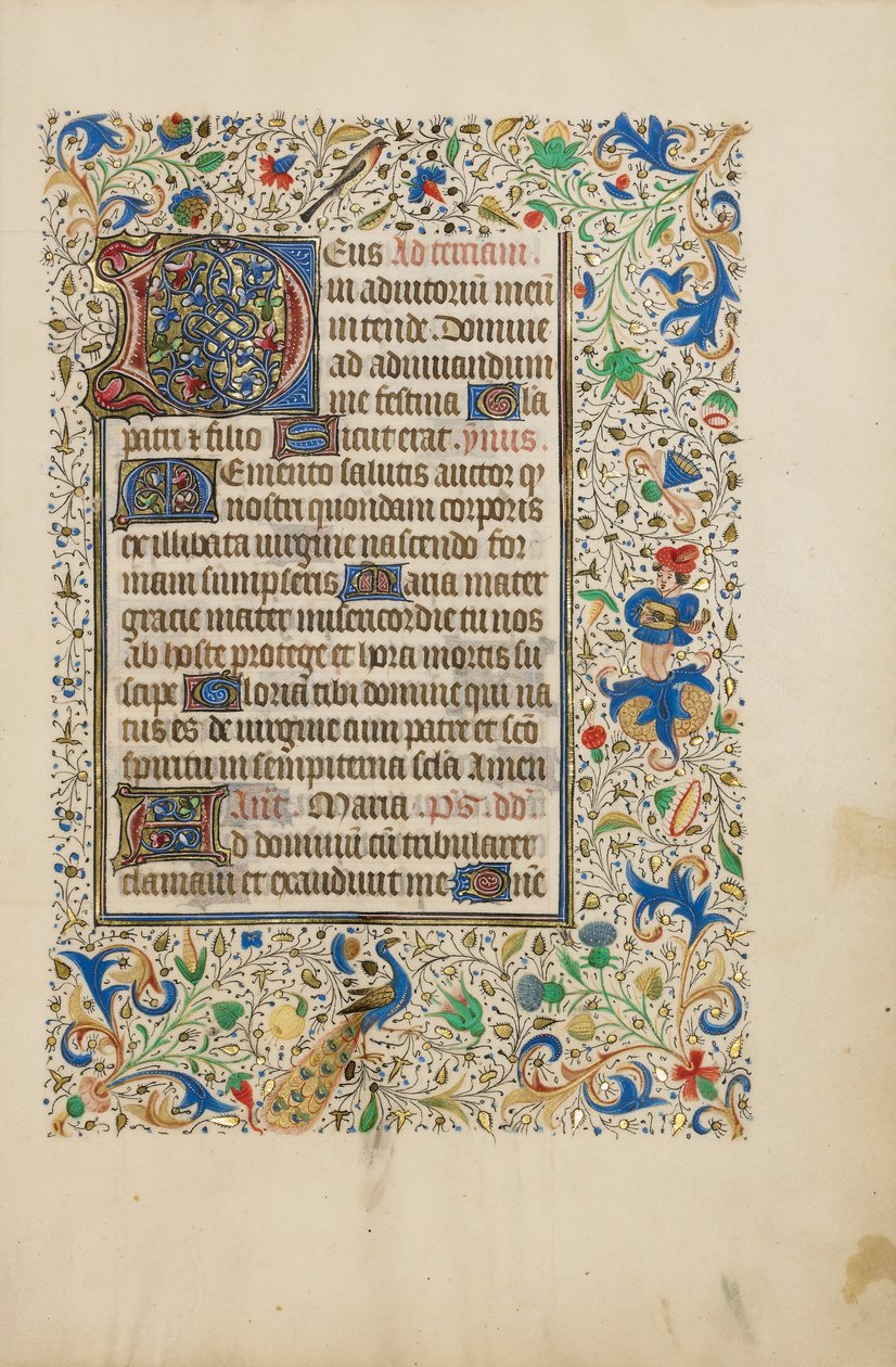 Decorated Text Page by Unknown artist