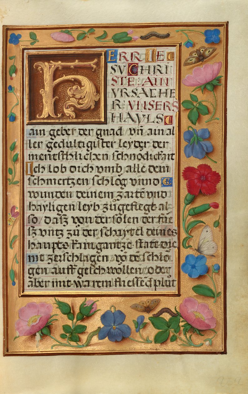 Decorated Text Page by Unknown artist