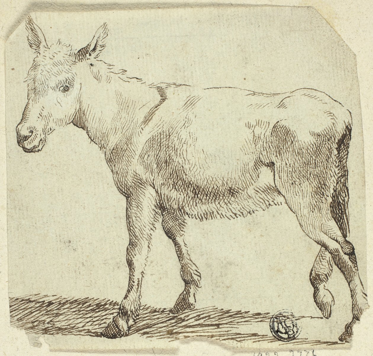 Donkey by Unknown artist