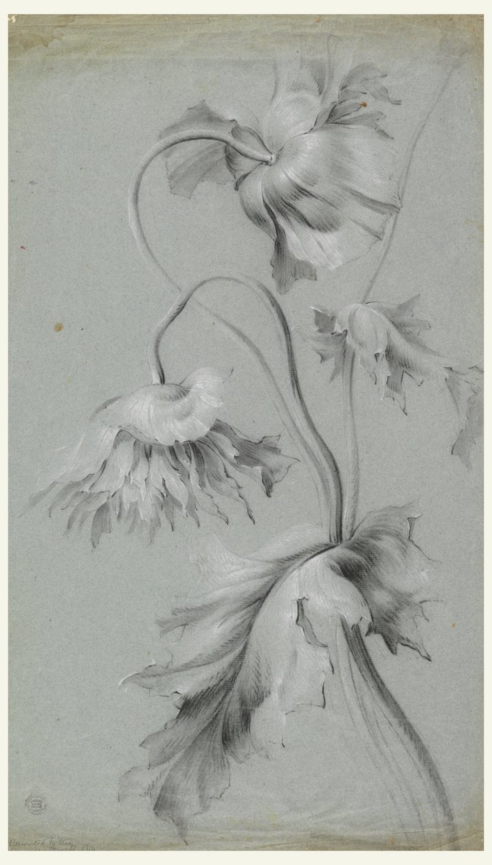 Floral Design by Unknown artist