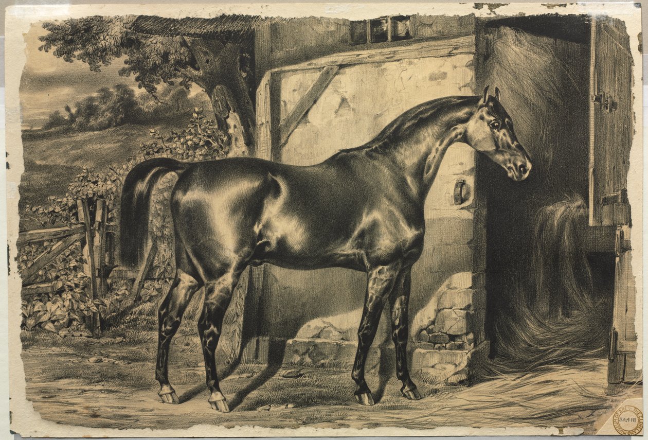 Horse in Front of a Barn (verso) by Unknown artist