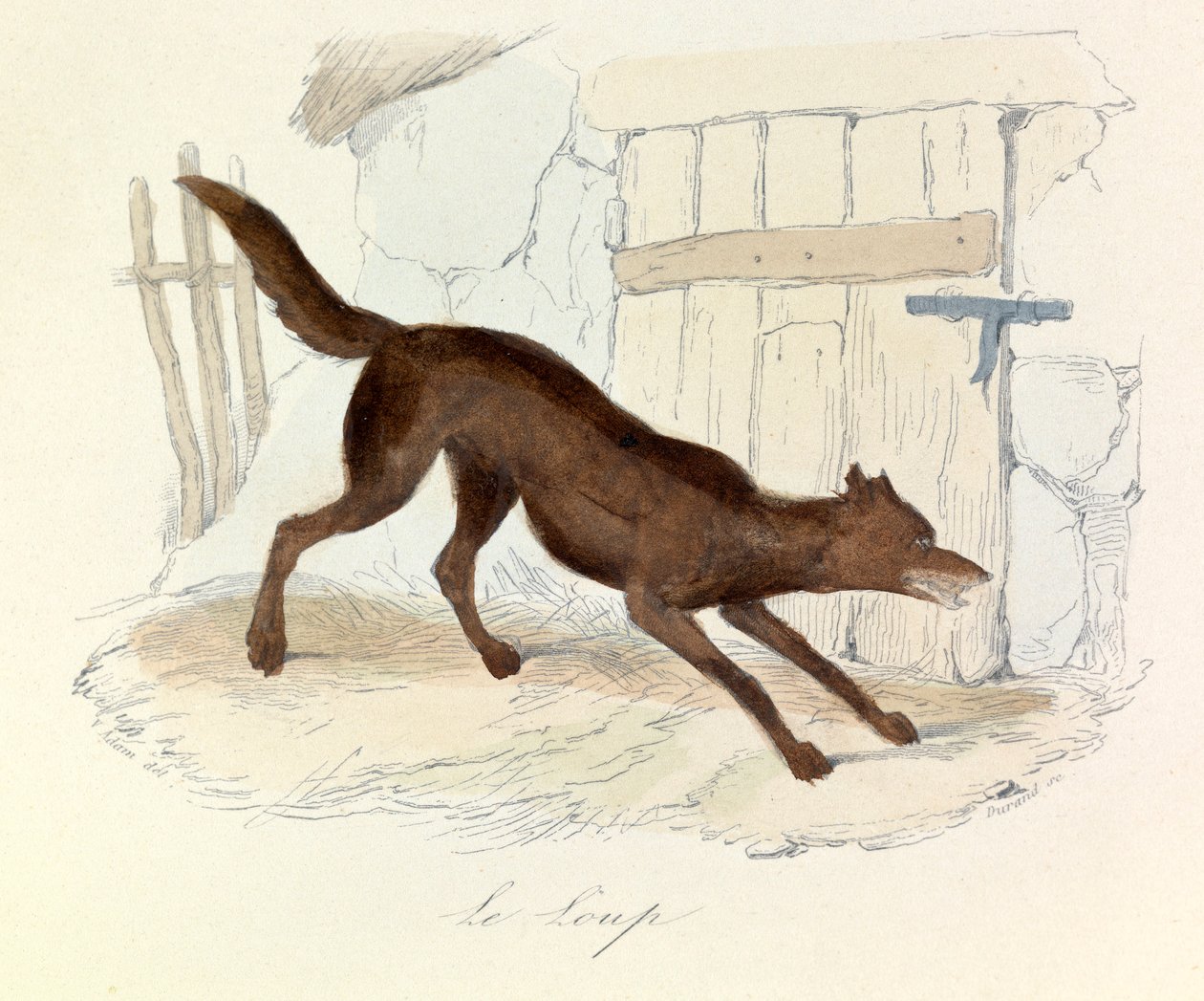 Illustration from the Book 