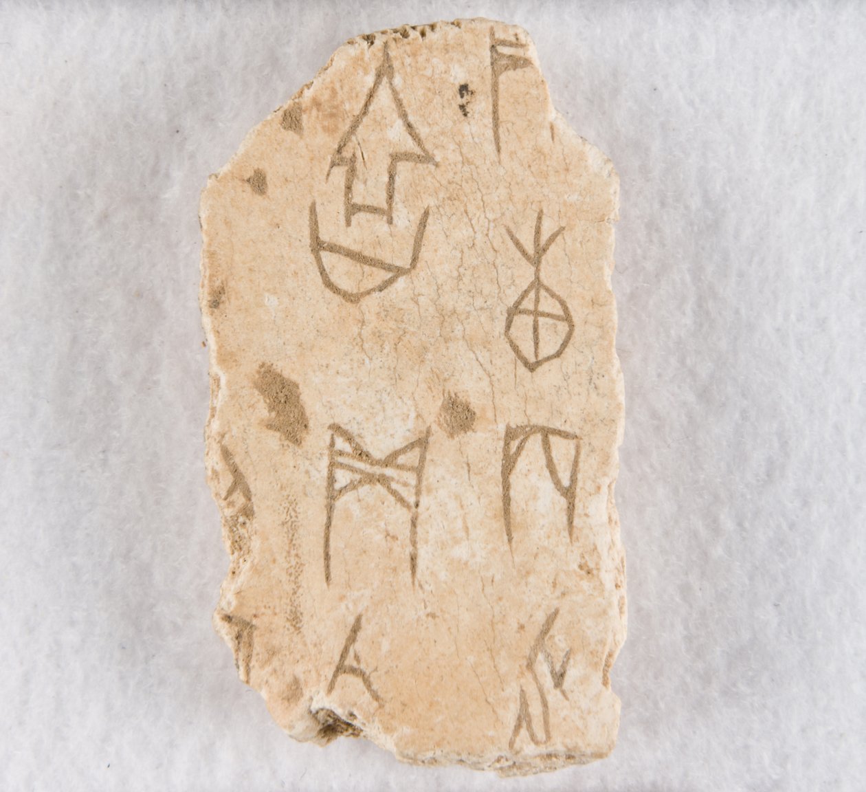 Inscribed bone fragment ("oracle bone") by Unknown artist