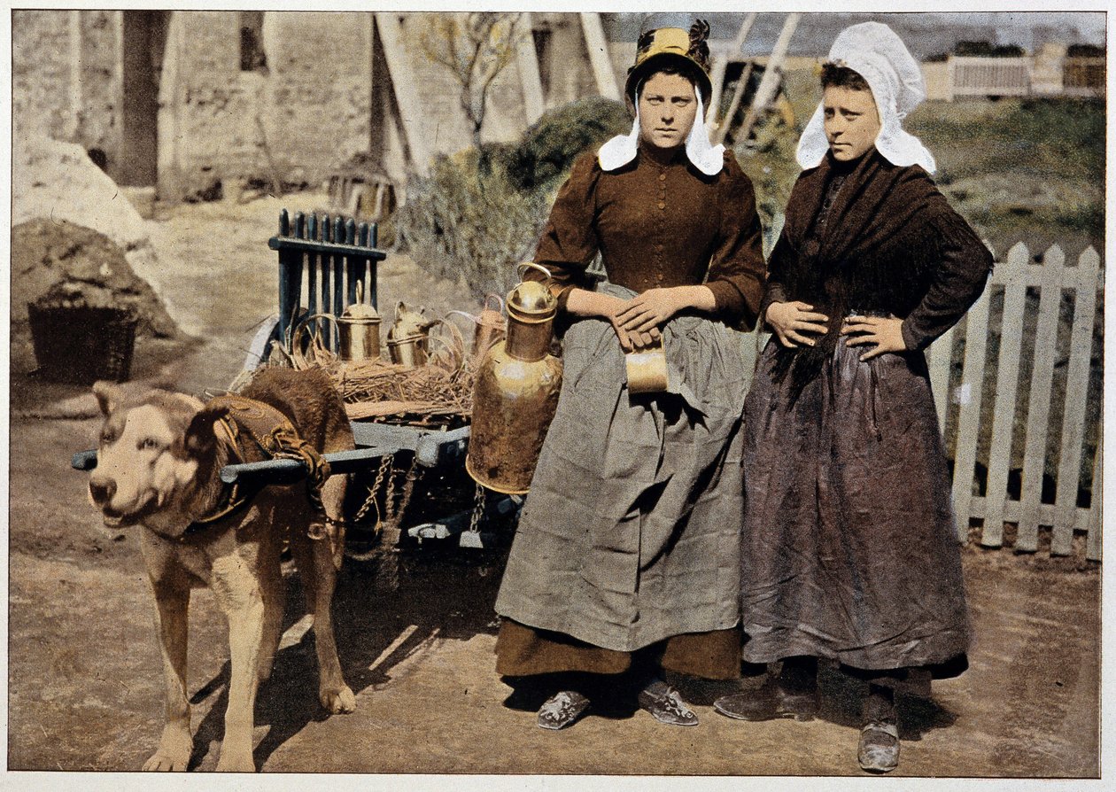 Milk merchants and dog cart from Antwerp, late 19th century by Unknown artist