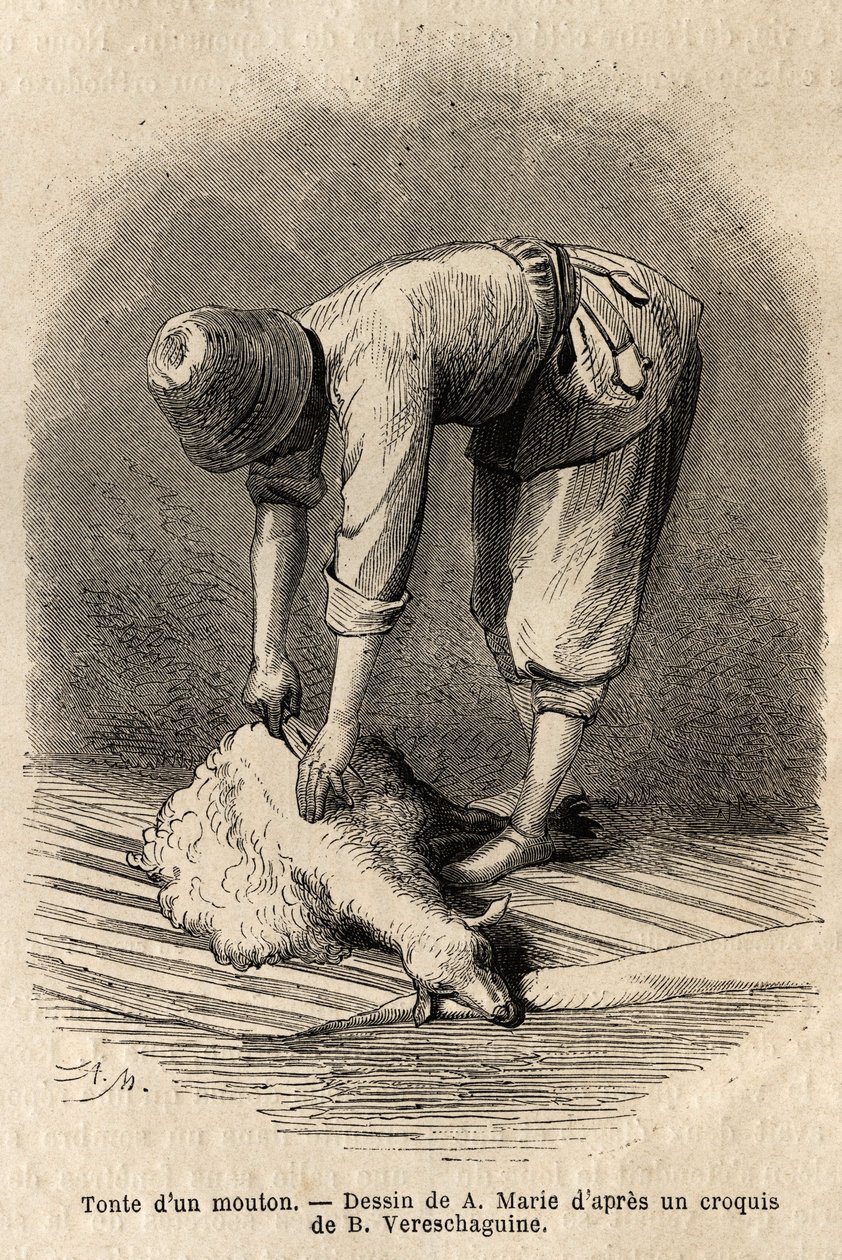 Mowing a sheep by a young Tatar man, in Schusha (Transcaucasia, Russia). Engraving to illustrate the voyage in the provinces of the Caucasus, by Basile Vereschaguine, in 1864-1865, published in 