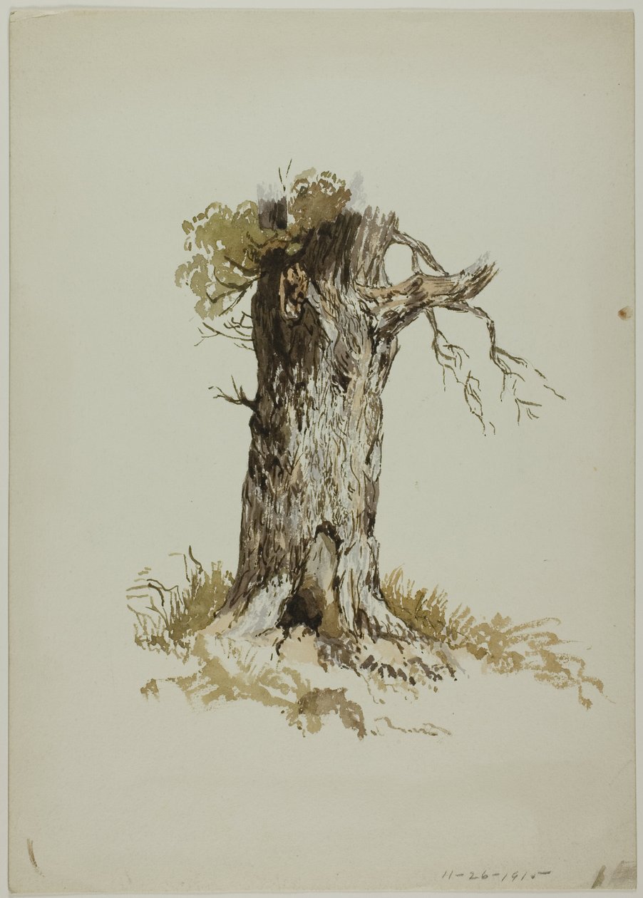 Old Tree Trunk by Unknown artist