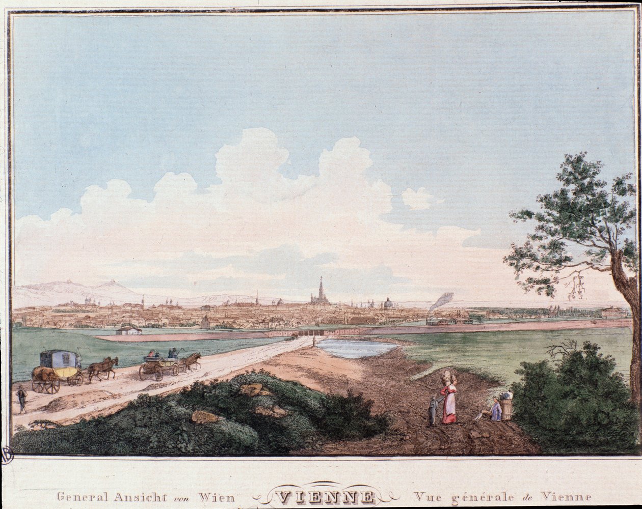 Overview of the city of Vienna with bridge crossing the Danube. Austria Engraving from 1830 Private Collection by Unknown artist