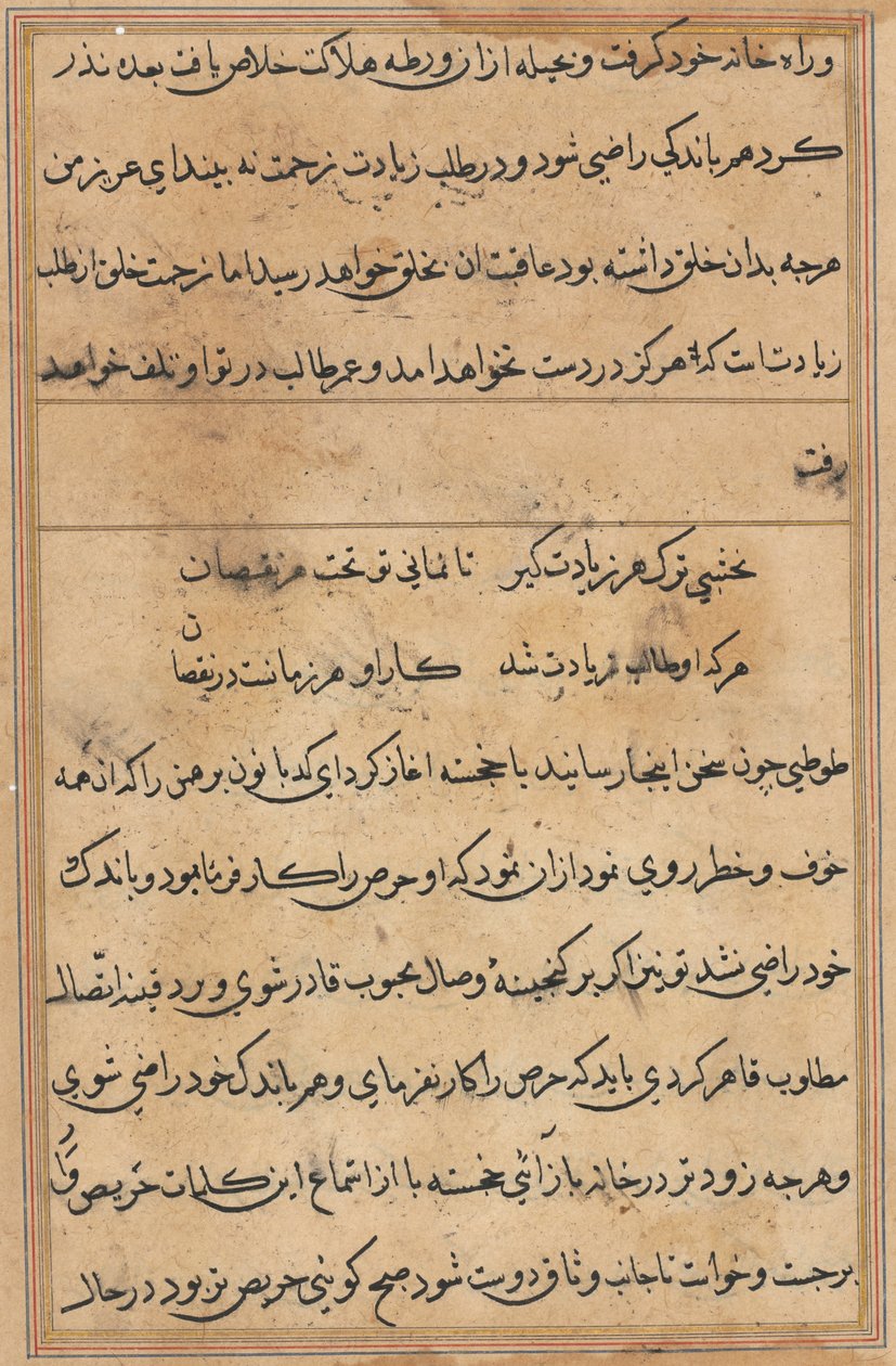 Page from Tales of a Parrot (Tuti-nama): text page by Unknown artist