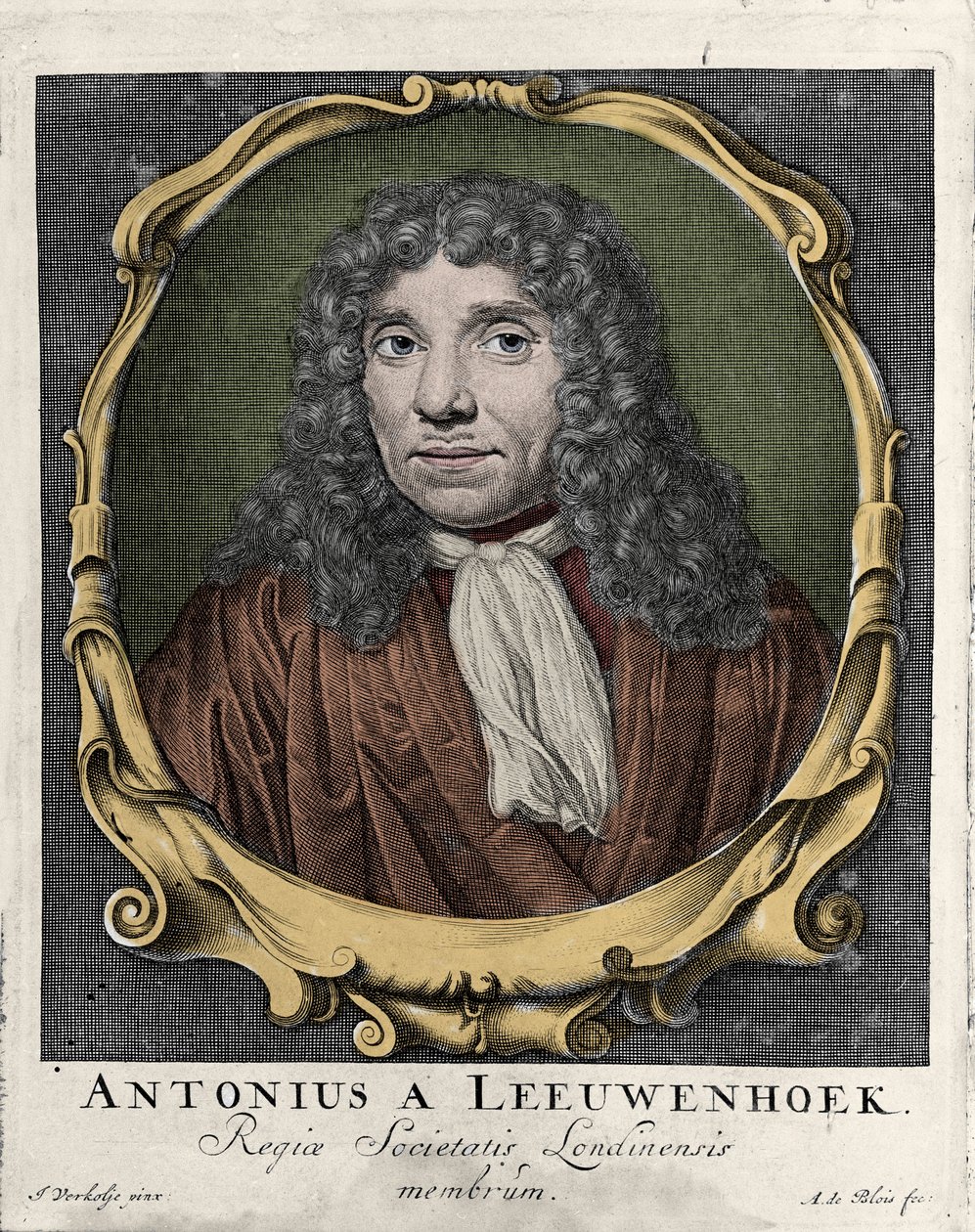 Portrait of Antonie Van Leeuwenhoek, Dutch Naturalist (1632-1723)
