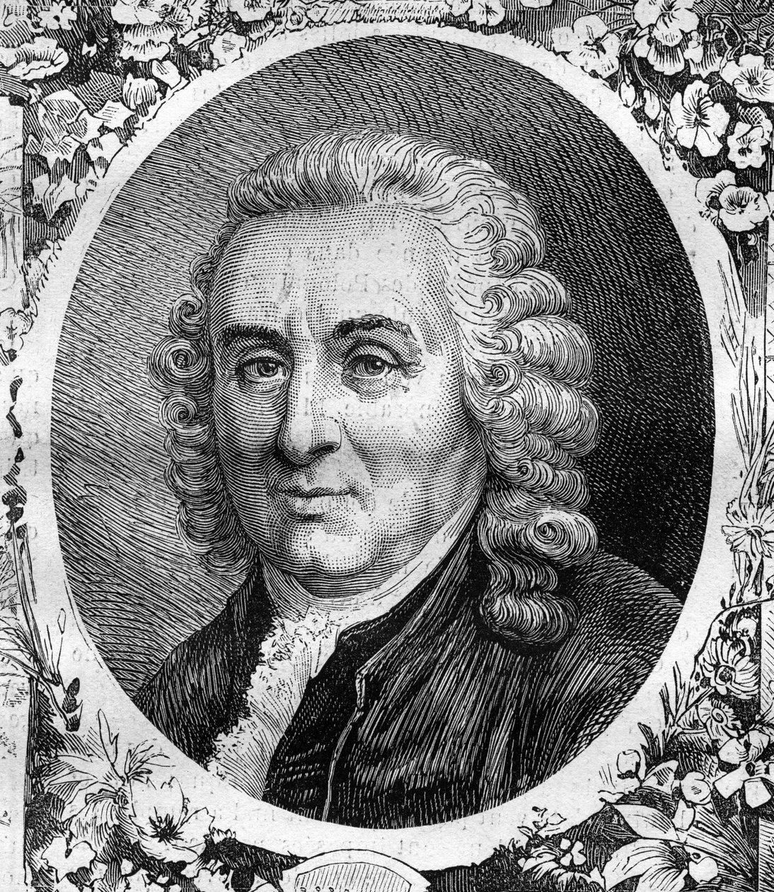Portrait of Charles Linnaeus, Swedish naturalist. Engraving from 1878