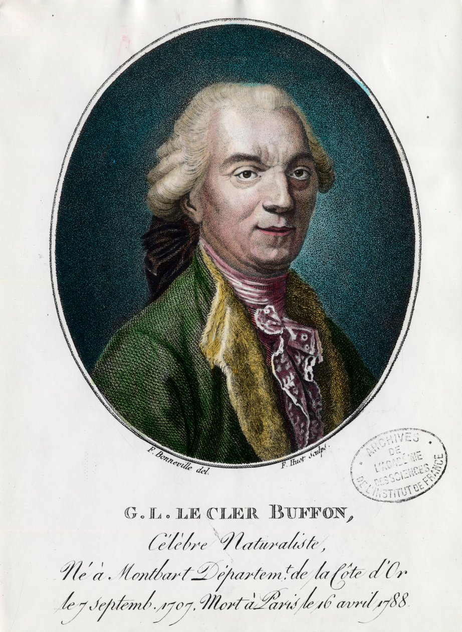 Portrait of George Louis Le Clerc, Count of Buffon by Unknown artist
