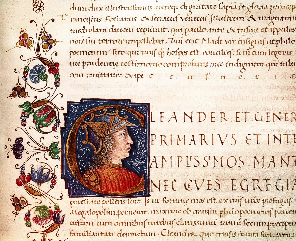 Representation of Alexander the Great by Unknown artist