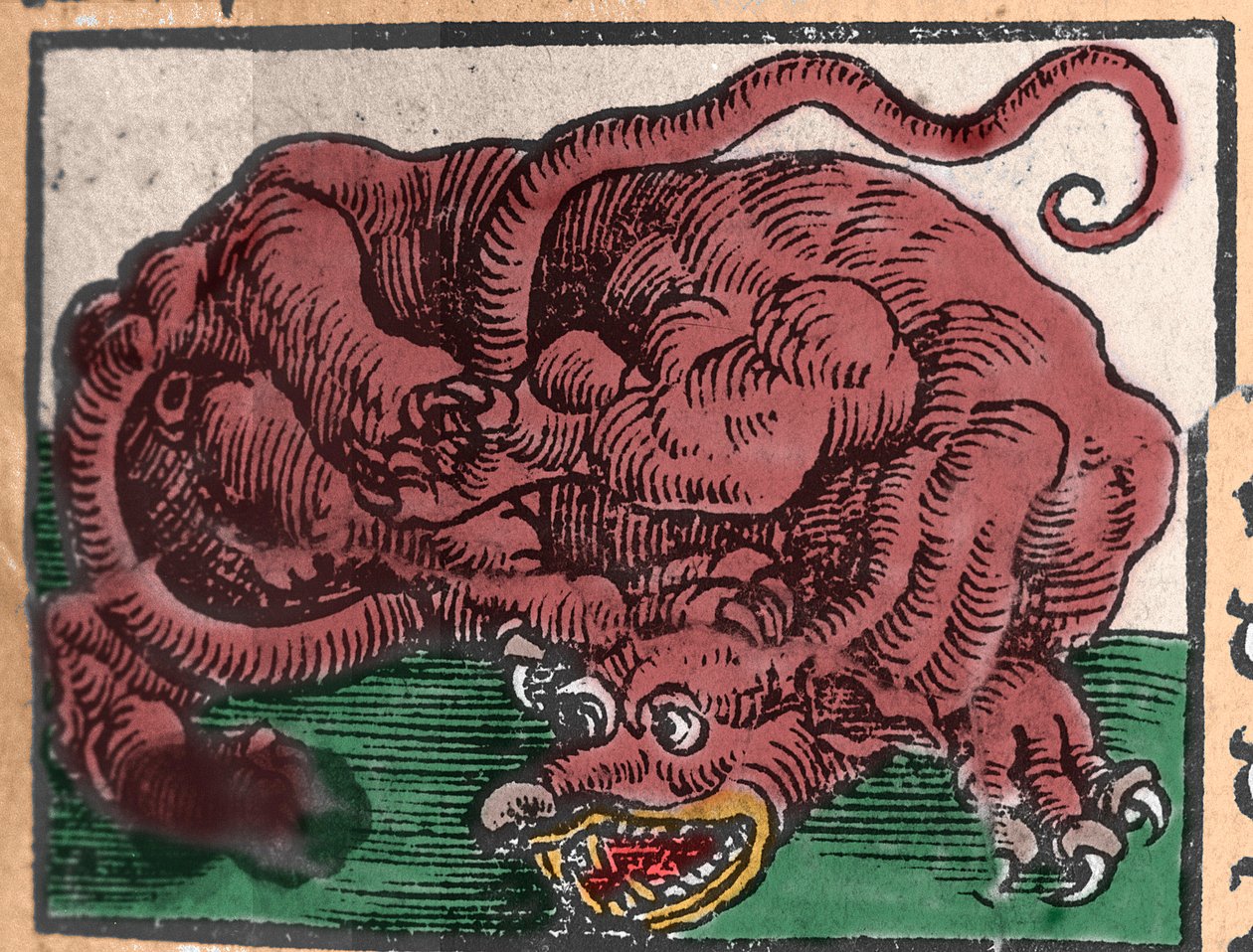Representation of a Dragon (Engraving from 'Den Edlen Strength Besten ...