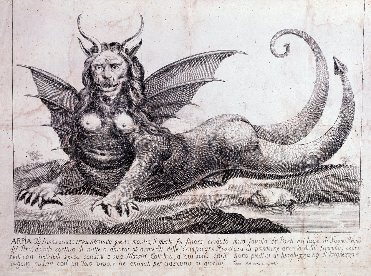 Representation of a Harpy by Unknown artist