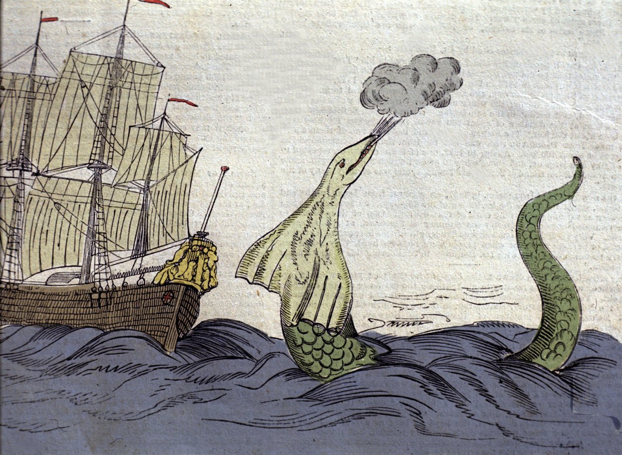 Representation of the sea snake seen by the Norwegian missionary Hans ...